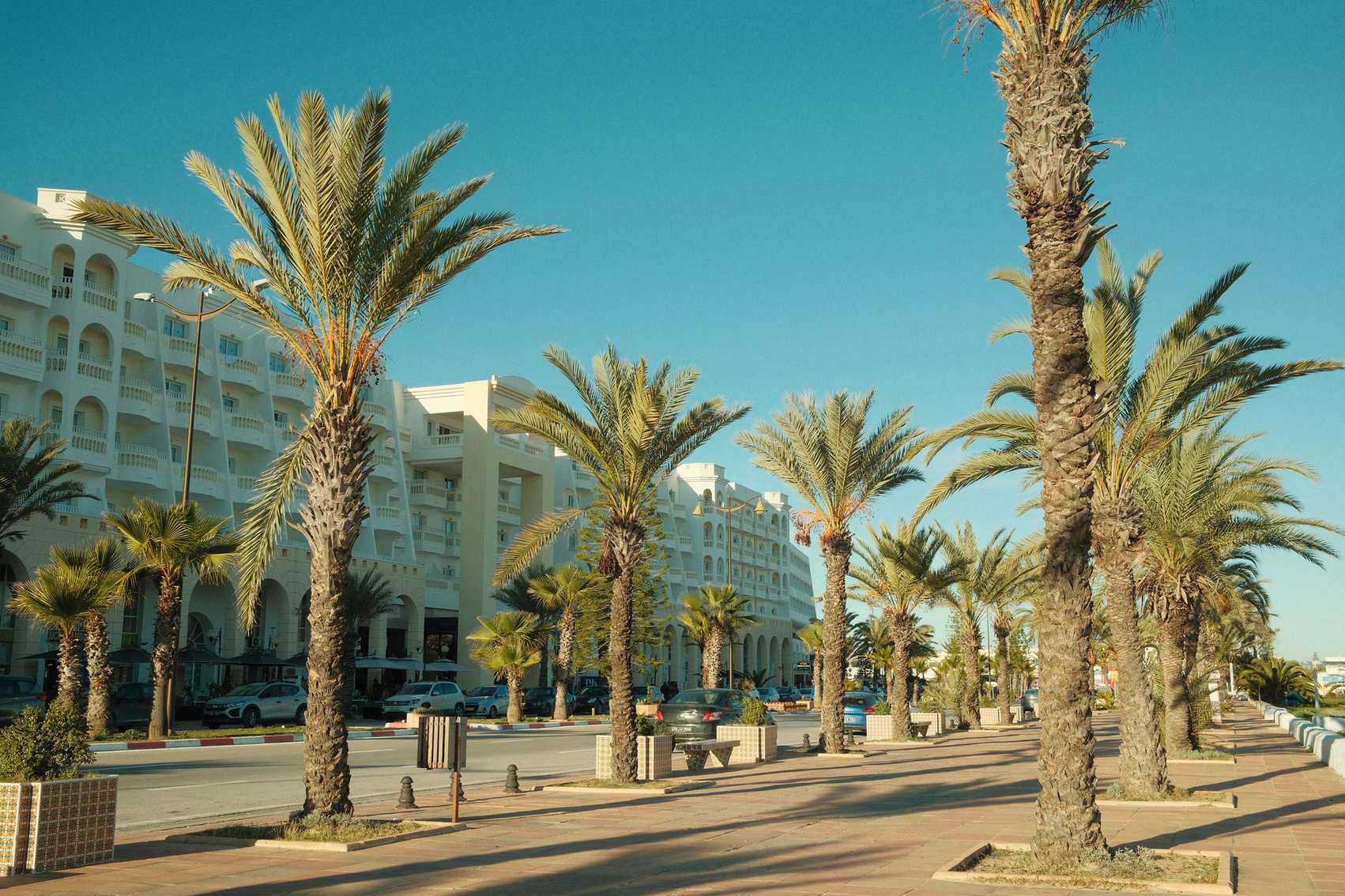 Tropical street with shops and palm trees under a clear blue sky